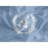 Regular United Nations